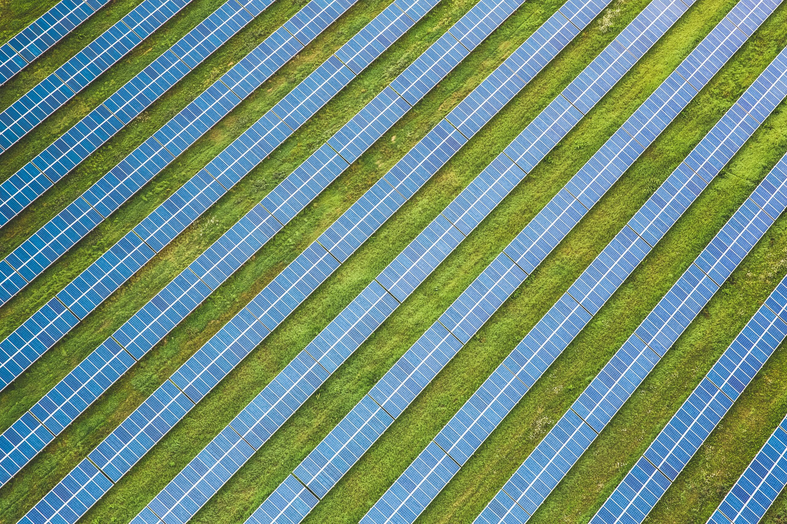 Prato verde con pannelli solari, vista dall'alto